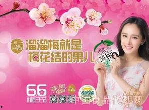 东北食品爆料事件视频播放,揭秘食品安全背后的真相